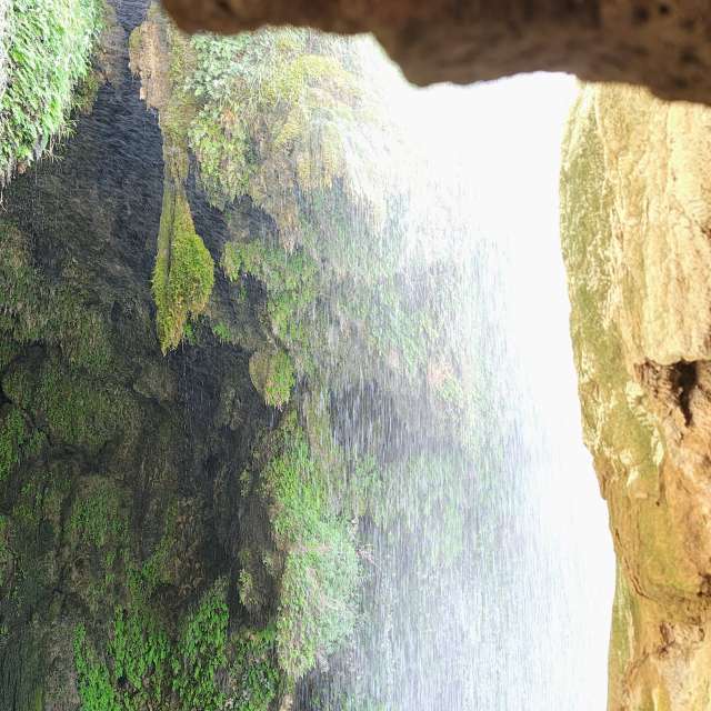 Prévisions météo avec de superbes photos de MSLidon