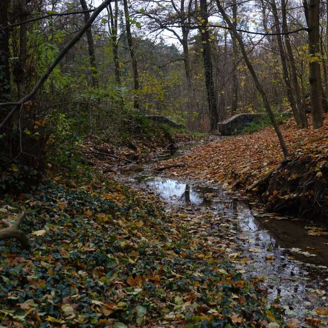 Fotos Grama. Previsões do tempo com lindas fotos de Vasek325 em Praha 4