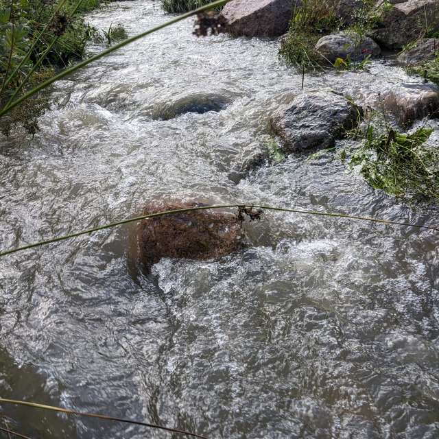 Previsões do tempo com lindas fotos de Mangustium