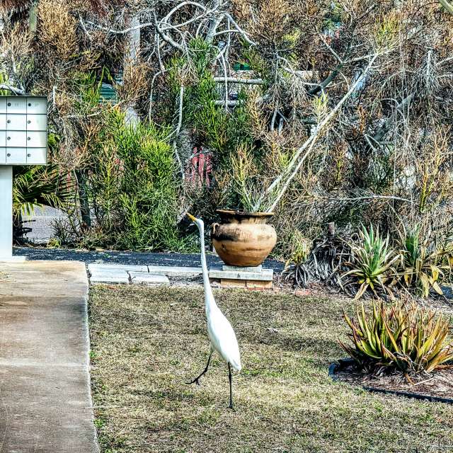 Weather forecasts with beautiful photos by boilerdude