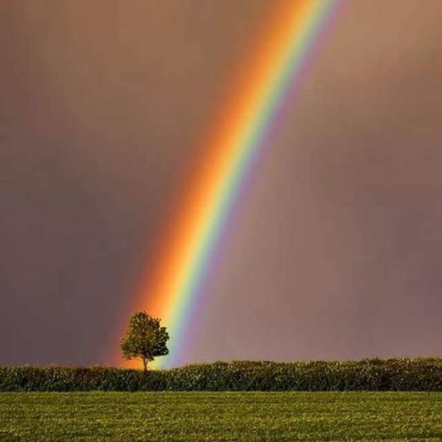 Prévisions météo avec de superbes photos de SWolfe57
