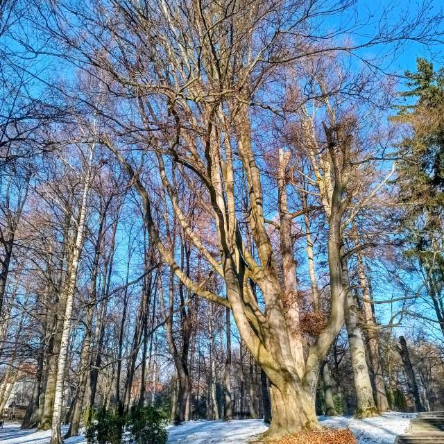 Wettervorhersagen mit schönen Fotos von Kripo