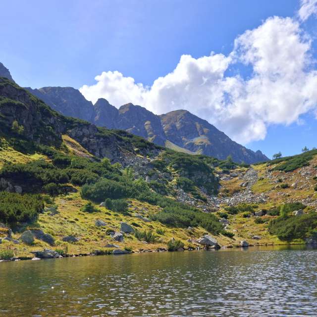 Weather forecasts with beautiful photos by steve2025s