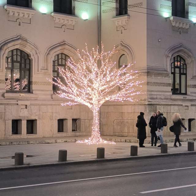Fotos del Cruz. Pronósticos del tiempo con hermosas fotos de YanBog en București