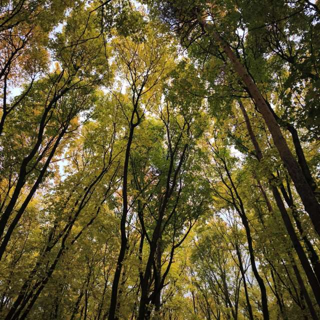 Weather forecasts with beautiful photos by Amanda_and_Valdemar_Che