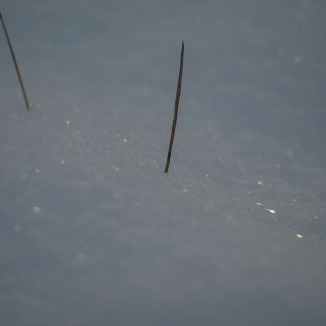 Previsões do tempo com lindas fotos de ooee