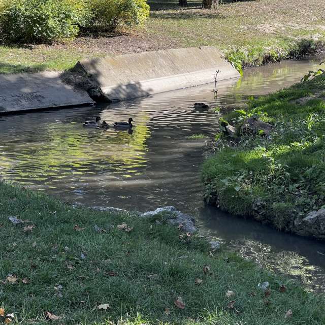 Walking. Weather forecasts with beautiful photos by InnaMoon Photos in Chisinau