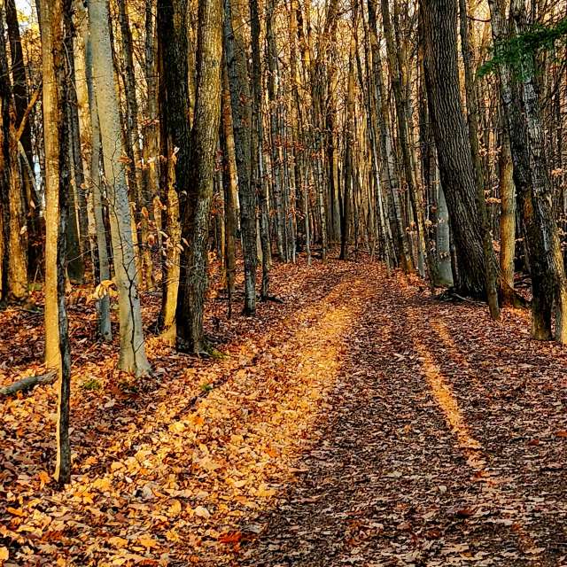 Wetter Photos Welt. Wettervorhersagen mit schönen Fotos von KevinG