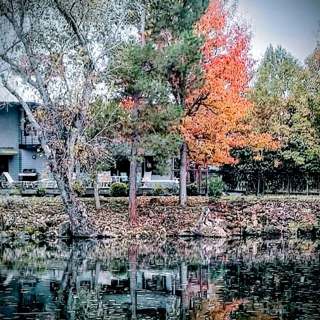 天气预报，带Ghostroku精美的照片