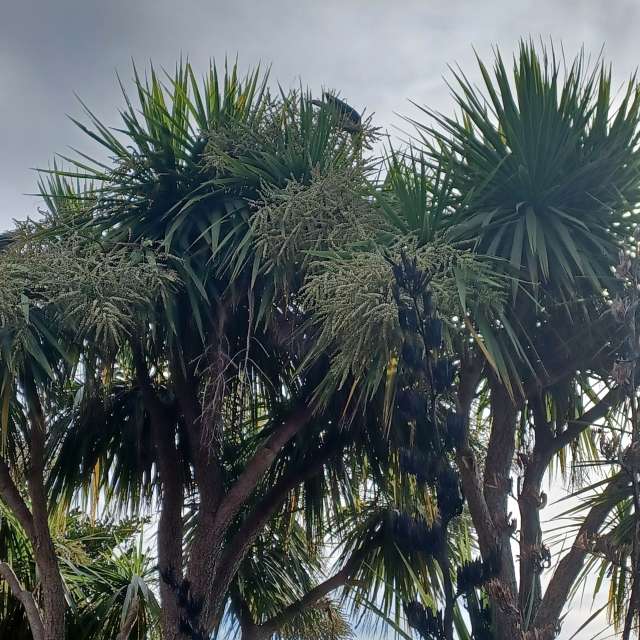 Прогнозы погоды с чудесными фотографиями, сделанными Hikey