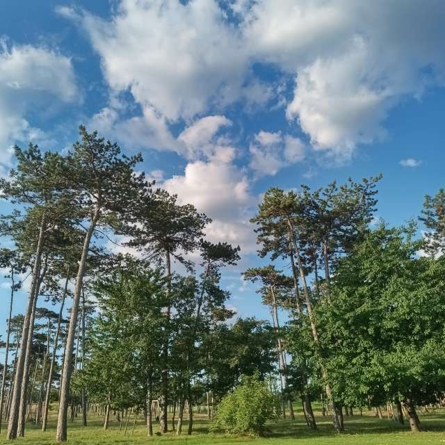 Weather forecasts with beautiful photos by Kripo
