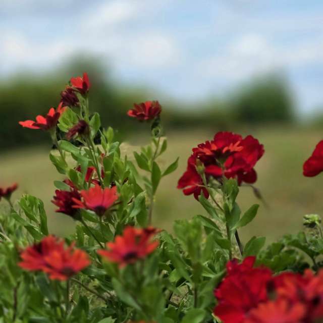 Tisch. Wettervorhersagen mit schönen Fotos von Hela Fotos Bayern