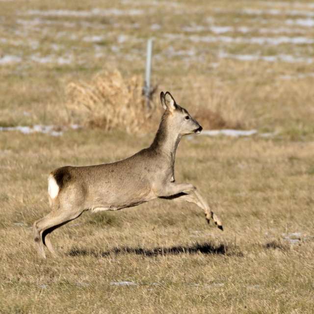Tom44の美しい写真による天気予報