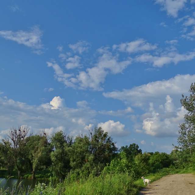 Country. Weather forecasts with beautiful photos by Михаил Гавриков Photos in Kharkiv