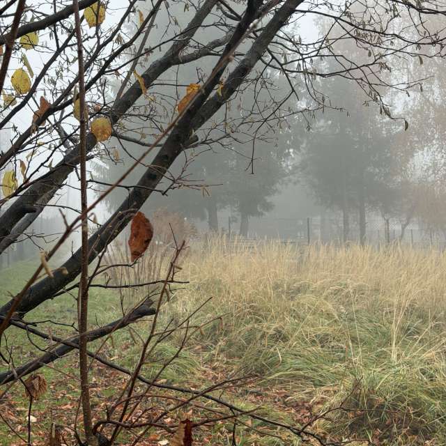 Grassy. Weather forecasts with beautiful photos by Cocolino Photos in World