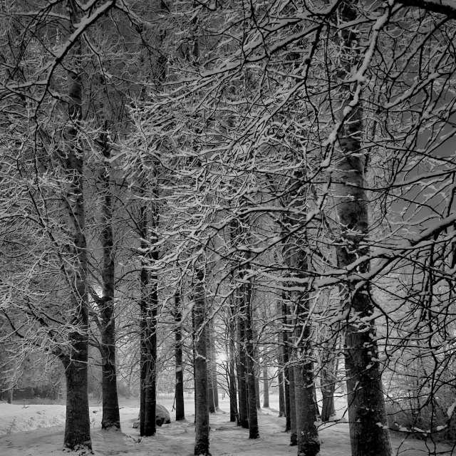 Previsões do tempo com lindas fotos de Piia