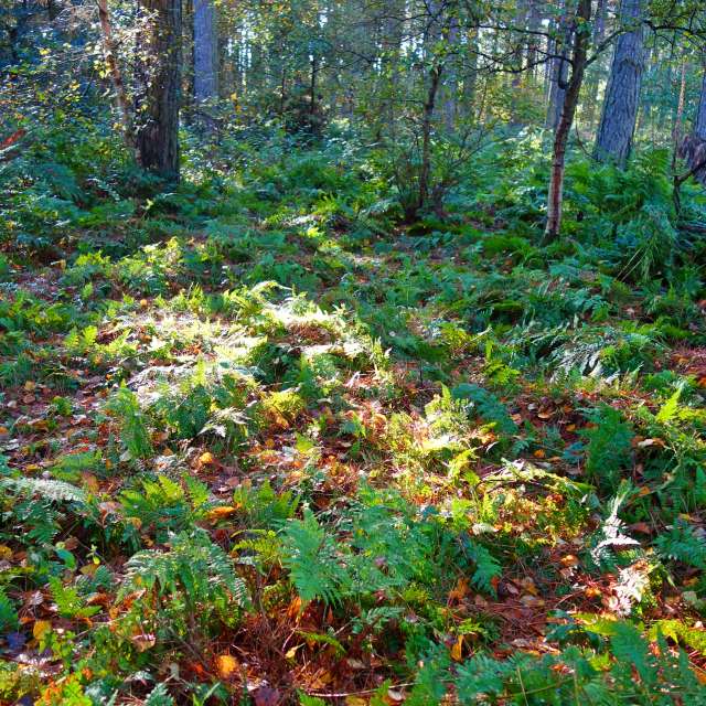 Previsões do tempo com lindas fotos de DarekCho