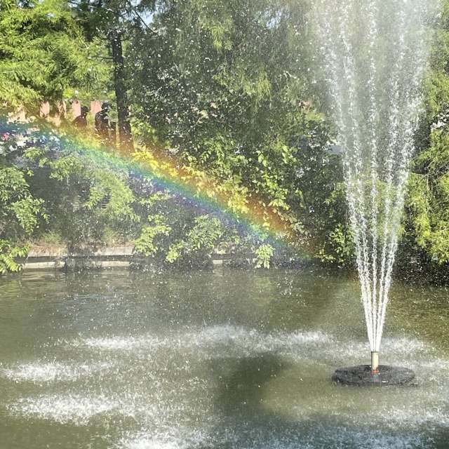 世界的天气照片. 天气预报，带HAS精美的照片