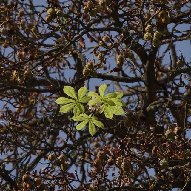 Fotos Abordado. Previsões do tempo com lindas fotos de Vasek325 em Praha 5