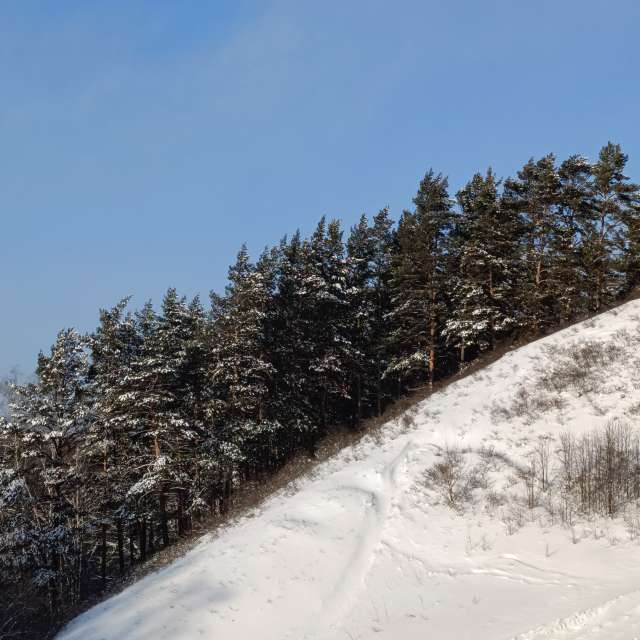 Snow. Weather forecasts with beautiful photos by Михаил Бондаренко Photos in World