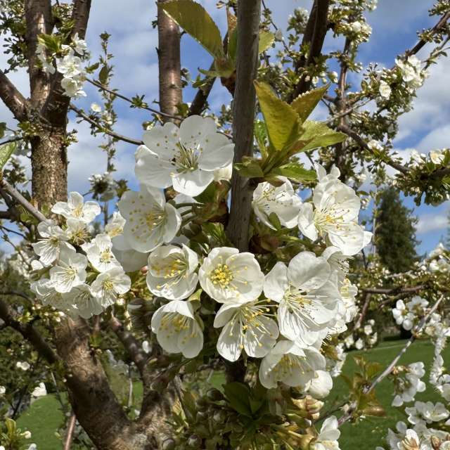 Covered. Weather forecasts with beautiful photos by Svet-Lana Photos in Rīga