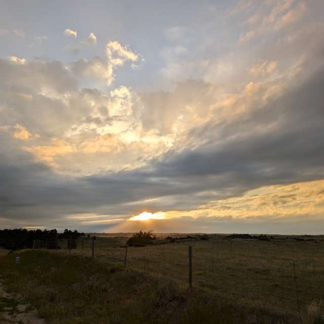 Feld. Wettervorhersagen mit schönen Fotos von BonnieC85 Fotos Pine View Airport