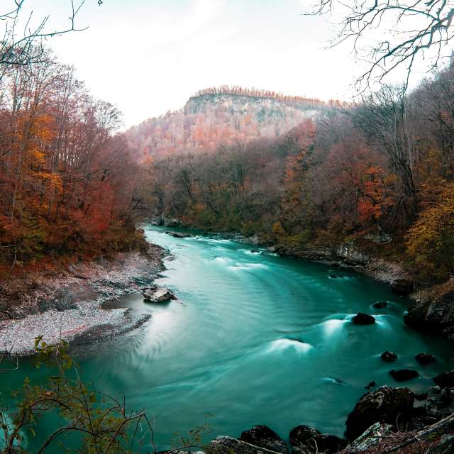 天气预报，带Mr_Doberman精美的照片