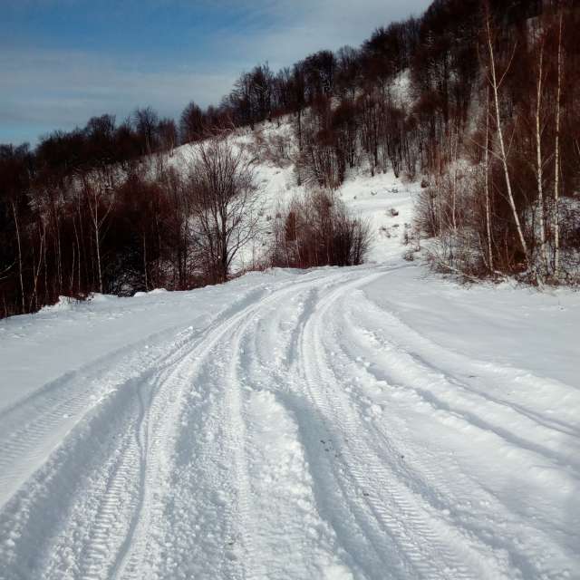 Previsões do tempo com lindas fotos de Vitalini