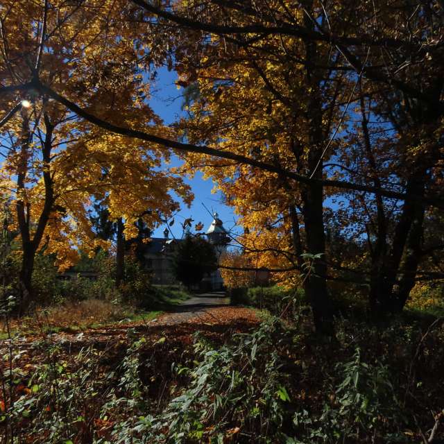 天气预报，带Sviatoslav精美的照片