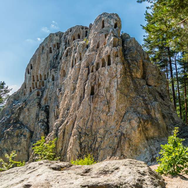 天气预报，带niki81vd精美的照片