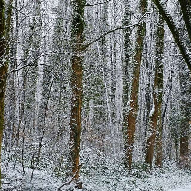 Fotos Trilha. Previsões do tempo com lindas fotos de Seni em Velbert