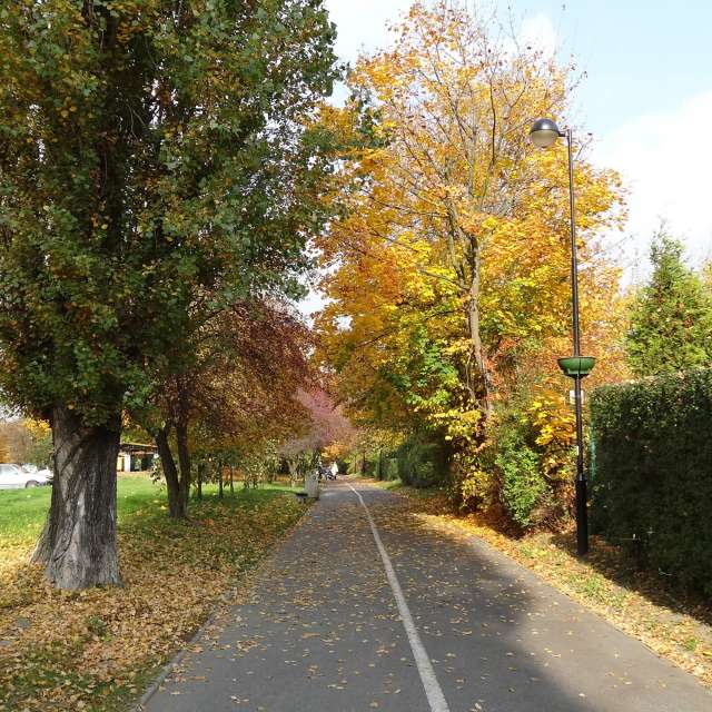 Фото Path. Прогнозы погоды с чудесными фотографиями, сделанными Lukdirt в Силезское воеводство