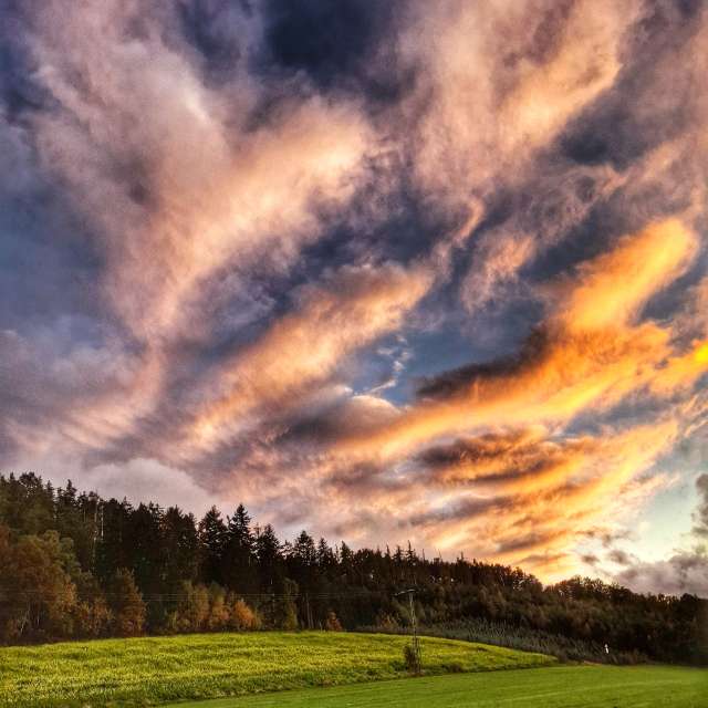 Cat. Weather forecasts with beautiful photos by Lotti5507 Photos in Stockum