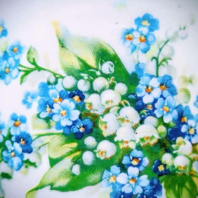 hejpetrpepaの美しい写真による天気予報