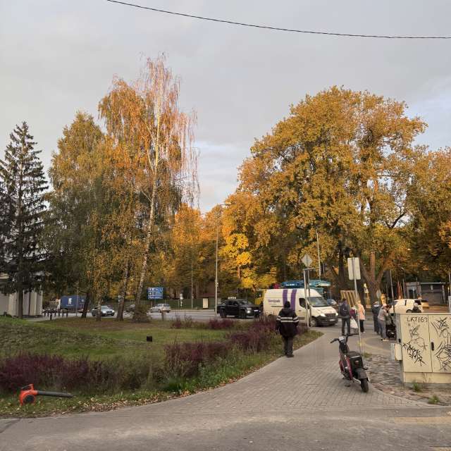 Grass. Weather forecasts with beautiful photos by Svet-Lana Photos in Rīga