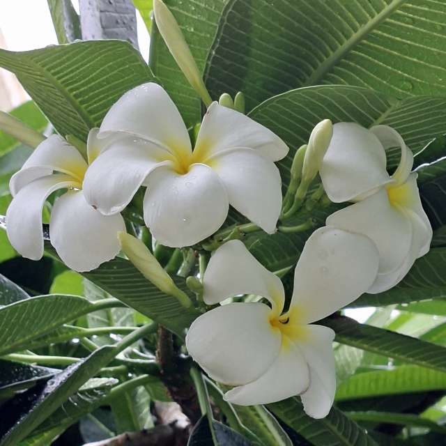 Innen. Wettervorhersagen mit schönen Fotos von Wen-ya Huang Fotos Kaohsiung
