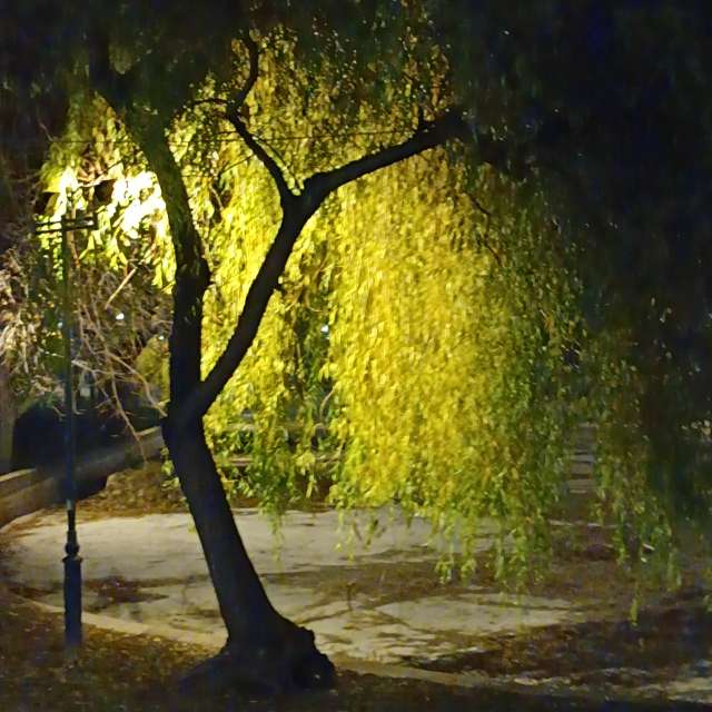 Fotos del Atardecer. Pronósticos del tiempo con hermosas fotos de YanBog en București