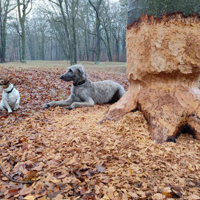 Прогнозы погоды с чудесными фотографиями, сделанными Karsten Wo