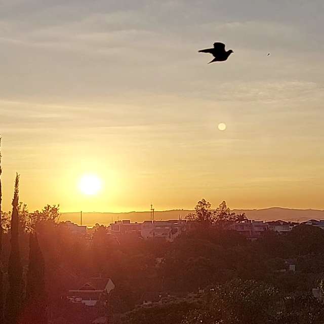 Pronósticos del tiempo con hermosas fotos de catiams