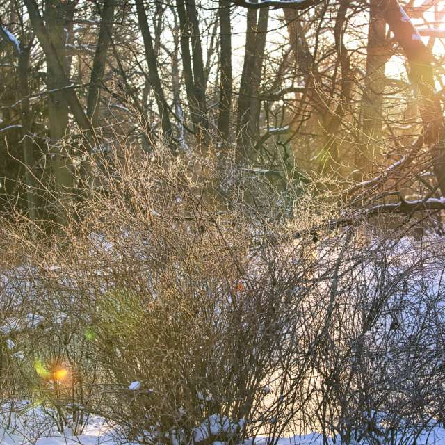 Прогнозы погоды с чудесными фотографиями, сделанными martinm611