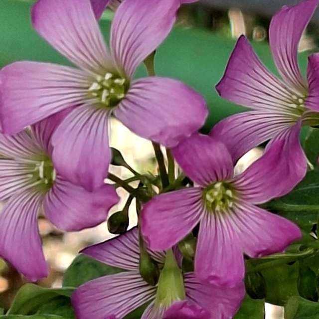 Full. Weather forecasts with beautiful photos by Wen-ya Huang Photos in Kaohsiung City