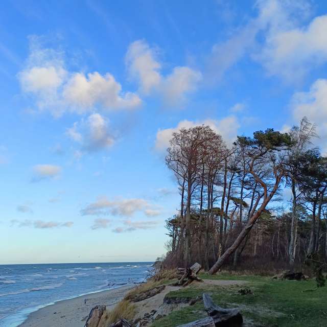 Fotos Barco. Previsões do tempo com lindas fotos de Михаил Бондаренко em Pionerskiy