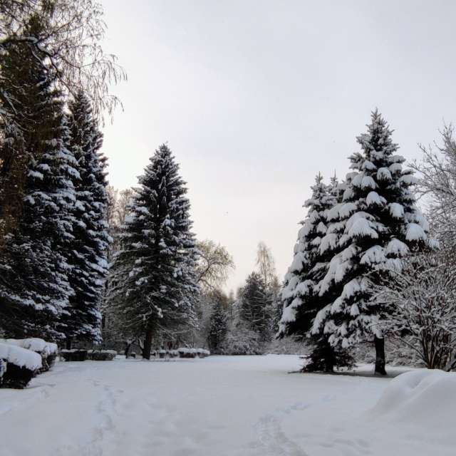 Luft. Wettervorhersagen mit schönen Fotos von Kripo Fotos Ladek Zdroj