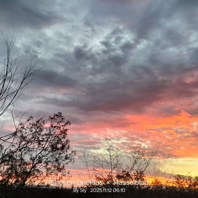 MsSlyの美しい写真による天気予報