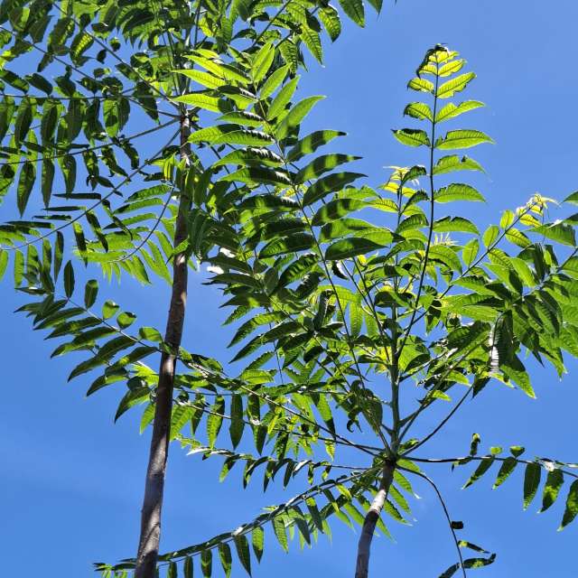 Ocean. Weather forecasts with beautiful photos by Wen-ya Huang Photos in Kaohsiung City