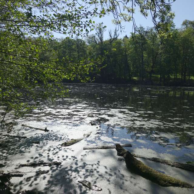 Fotos Lago. Previsões do tempo com lindas fotos de Vasek325 em Praha 4