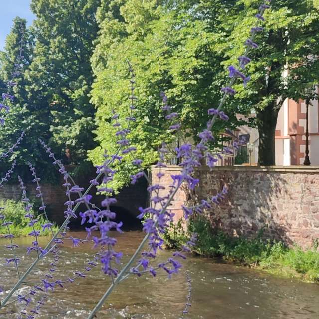 Walking. Weather forecasts with beautiful photos by Tercis Photos in Ettlingen
