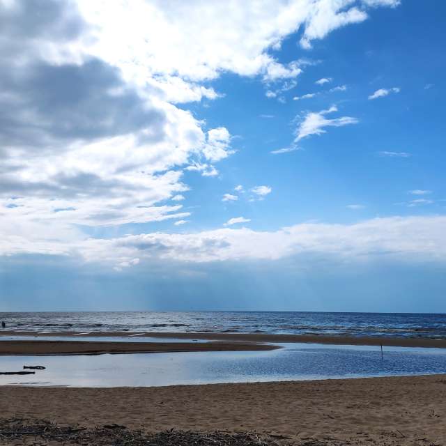 天气预报，带newgen精美的照片
