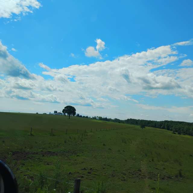 Wetter Photos Welt. Wettervorhersagen mit schönen Fotos von Joan Curtis