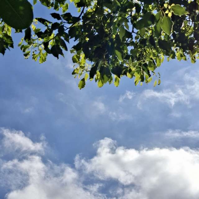 Green. Weather forecasts with beautiful photos by Yvonne Huang Photos in World